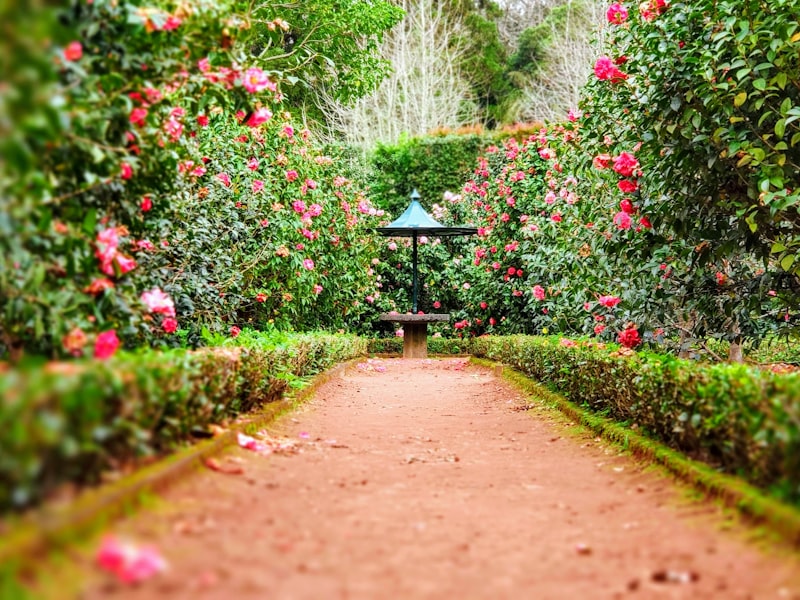 Horticulture Manpower Services